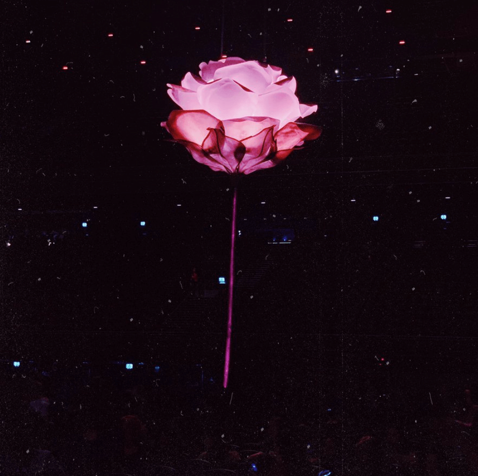 Shawn Mendes Tour Setlist at Benjamin Watson blog