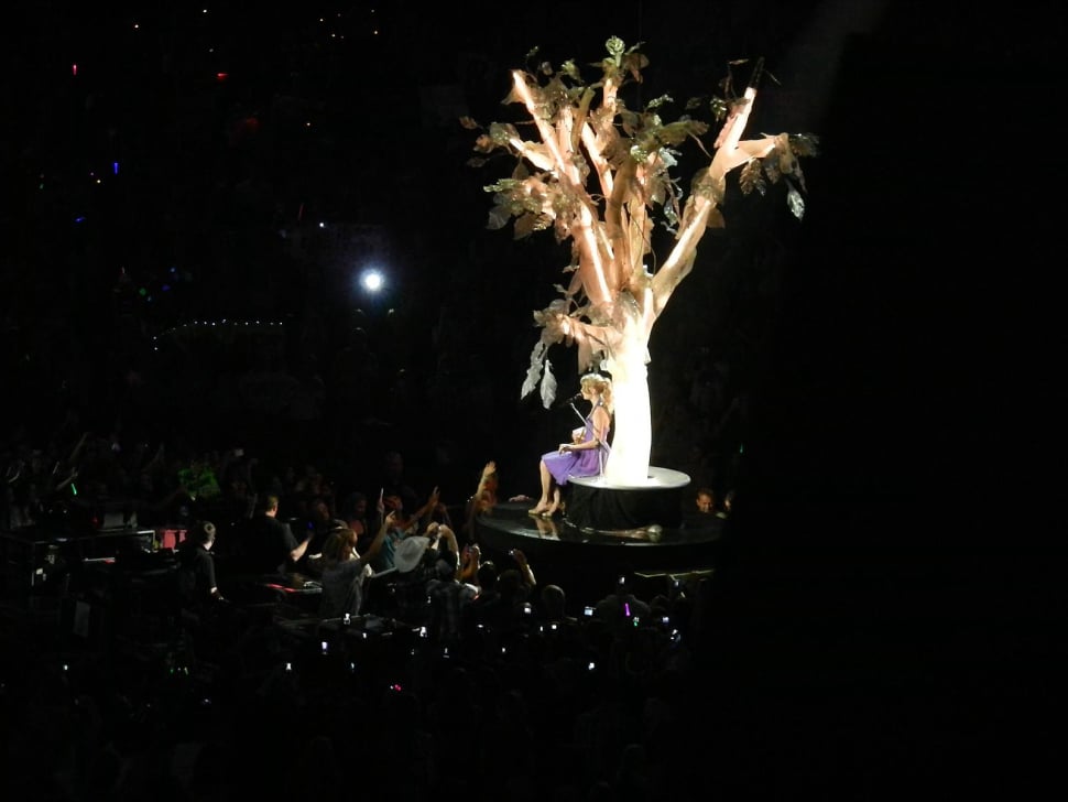 taylor swift b-stage from her speak now tour